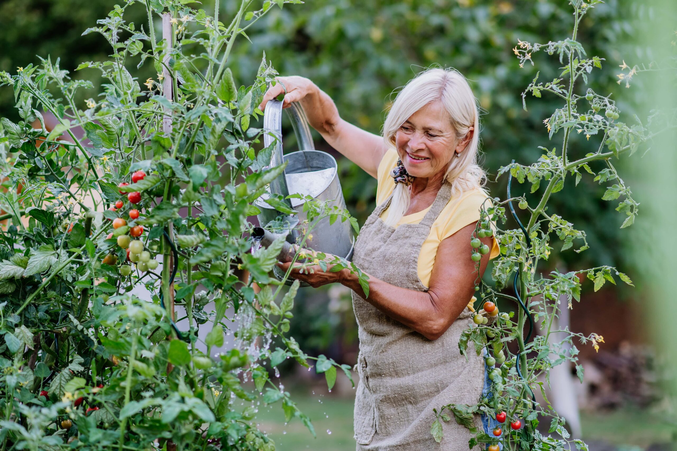 water recycling to use in garden